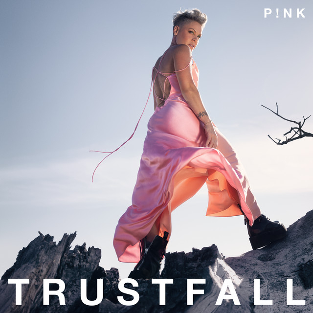 Обложка трека "Hate Me - P!nk"